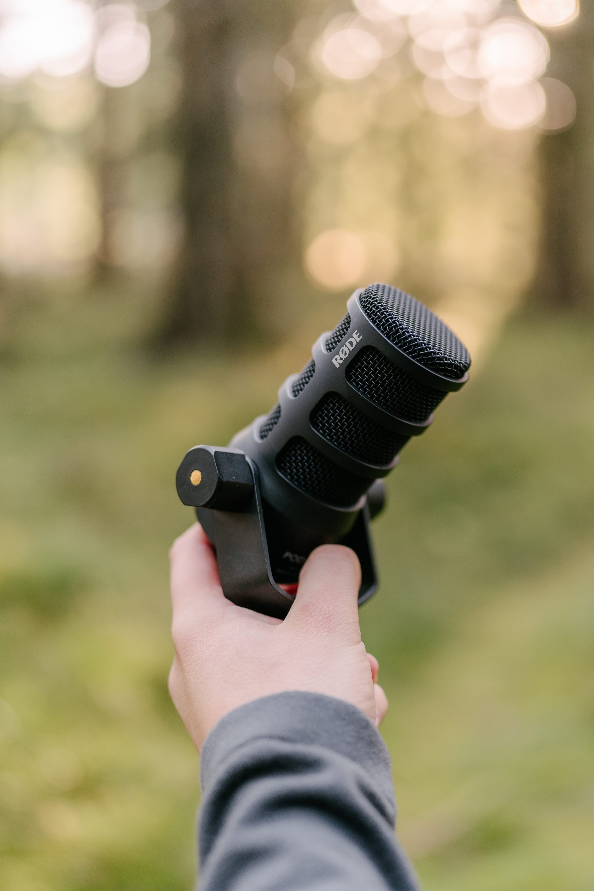 Podcast Mikrofon im Schwarzwald